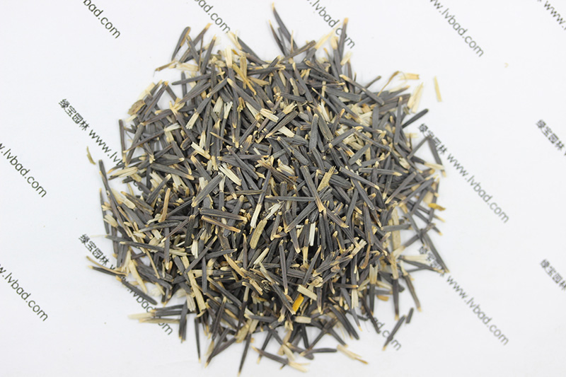 <a href='http://njszjj.com/caohuazhongzi/1631.html' target='_blank'>萬壽菊種子</a>