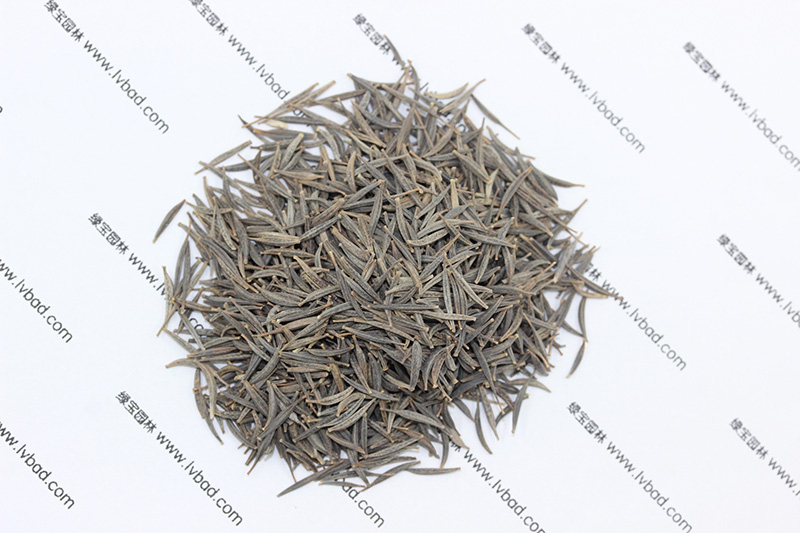 <a href='http://njszjj.com/caohuazhongzi/1054.html' target='_blank'>格?；ǚN子</a>