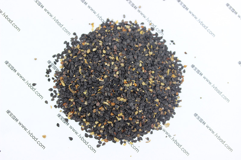<a href='http://njszjj.com/caohuazhongzi/97045.html' target='_blank'>石竹</a><a href='http://njszjj.com/' target='_blank'>種子</a>