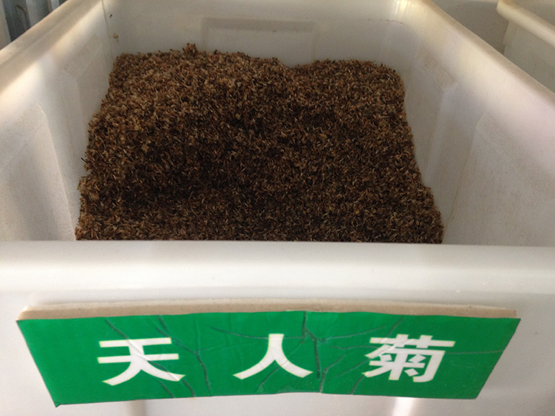 <a href='http://njszjj.com/caohuazhongzi/16044.html' target='_blank'>天人菊</a><a href='http://njszjj.com/' target='_blank'>種子</a>