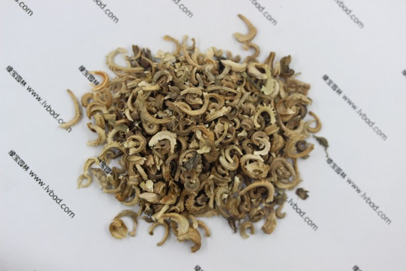 <a href='http://njszjj.com/caohuazhongzi/1571.html' target='_blank'>金盞菊</a><a href='http://njszjj.com/' target='_blank'>種子</a>圖片