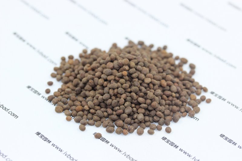 <a href='http://njszjj.com/caohuazhongzi/1051.html' target='_blank'>鳳仙花種子</a>