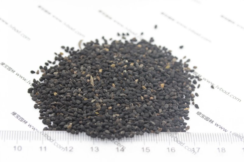 <a href='http://njszjj.com/caohuazhongzi/1061.html' target='_blank'>黑種草種子</a>