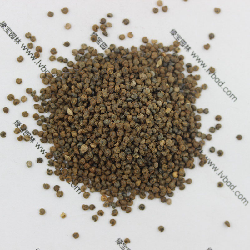<a href='http://njszjj.com/caohuazhongzi/1659.html' target='_blank'>醉蝶花種子</a>