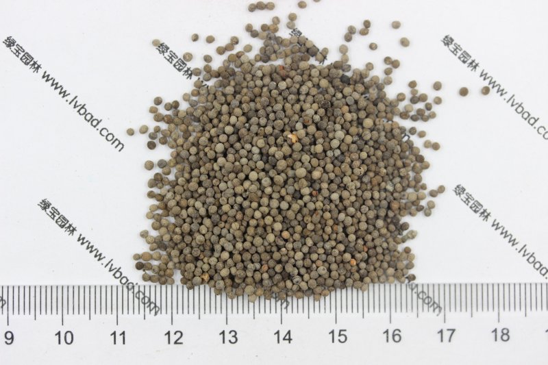 <a href='http://njszjj.com/caohuazhongzi/1068.html' target='_blank'>花菱草種子</a>