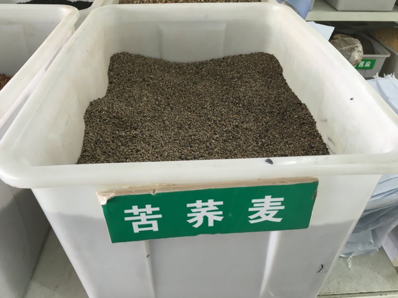 <a href='http://njszjj.com/yaocaizhongzi/2311.html' target='_blank'>蕎麥種子</a>
