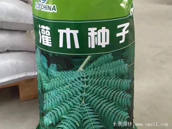 <a href='http://njszjj.com/linmuzhongzi/2217.html' target='_blank'>車桑子種子</a>